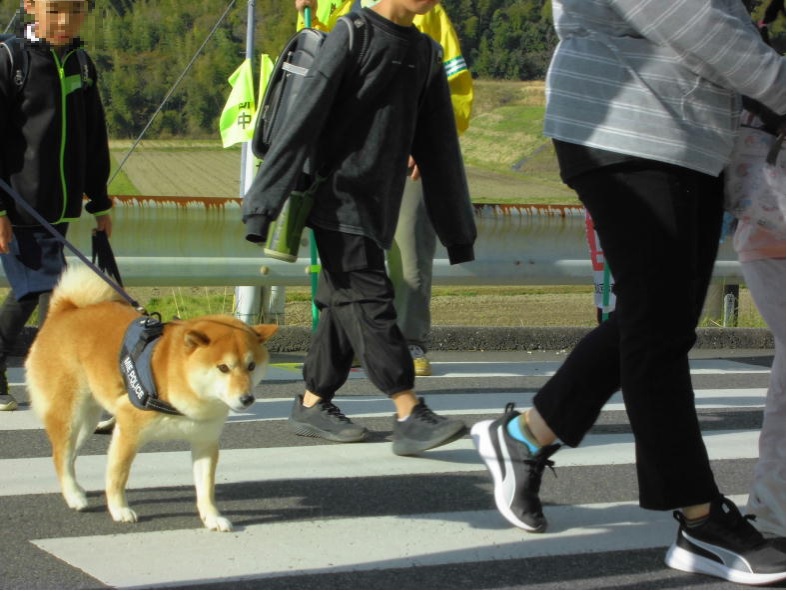 三重県警察広報室 tweet media