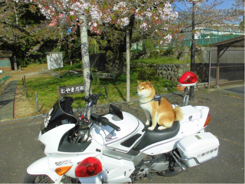 三重県警察広報室 tweet media