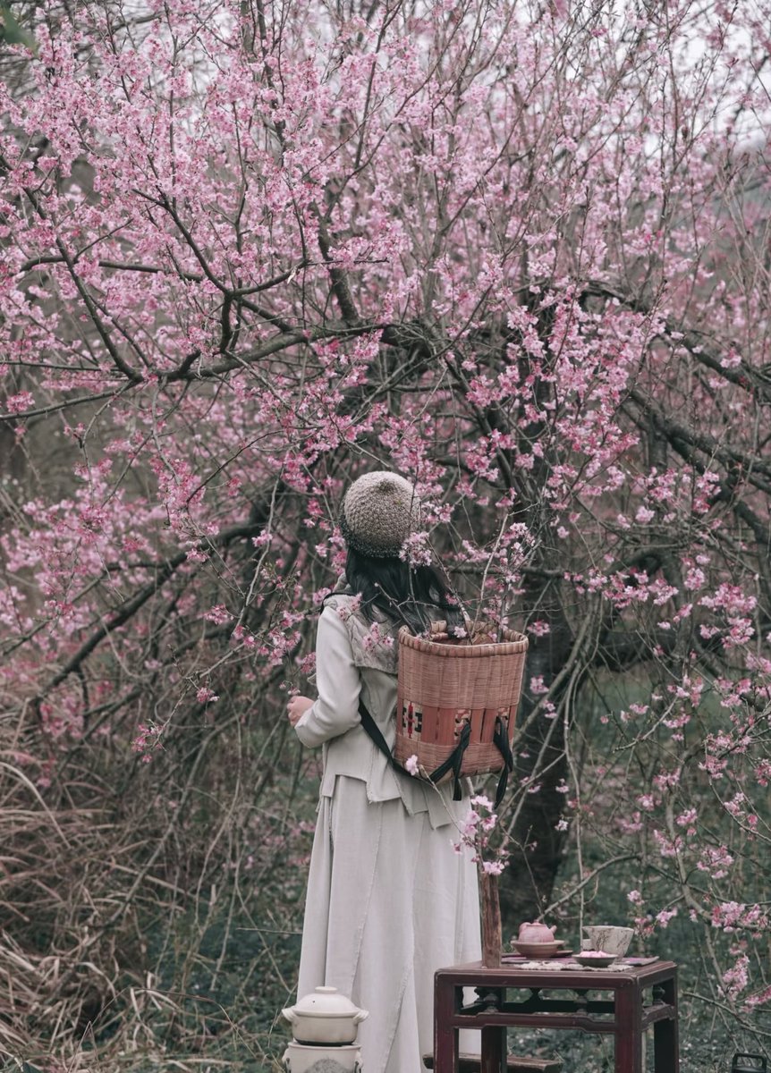 少女续续念（100%互fo） tweet media