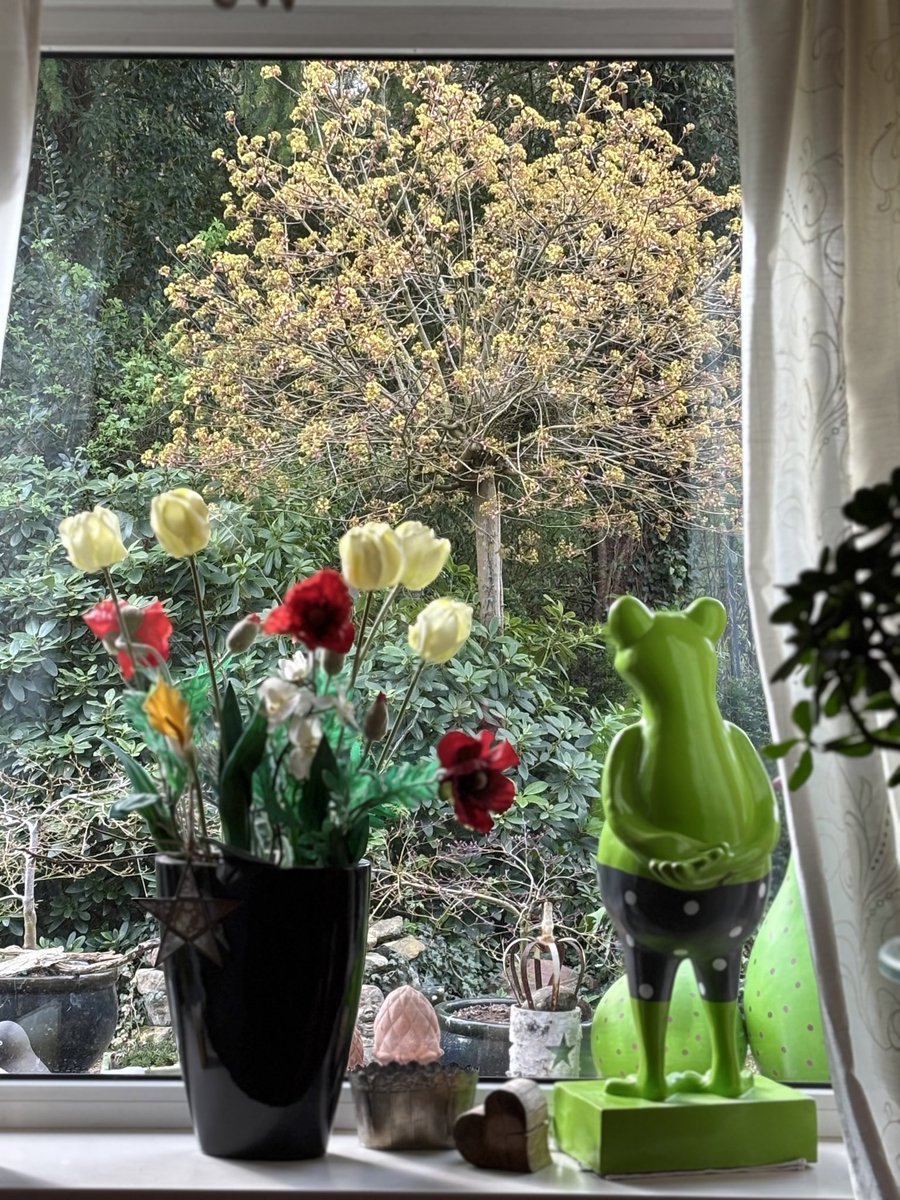 NonplusVonUltra@gotozuberly.bsky.social tweet media