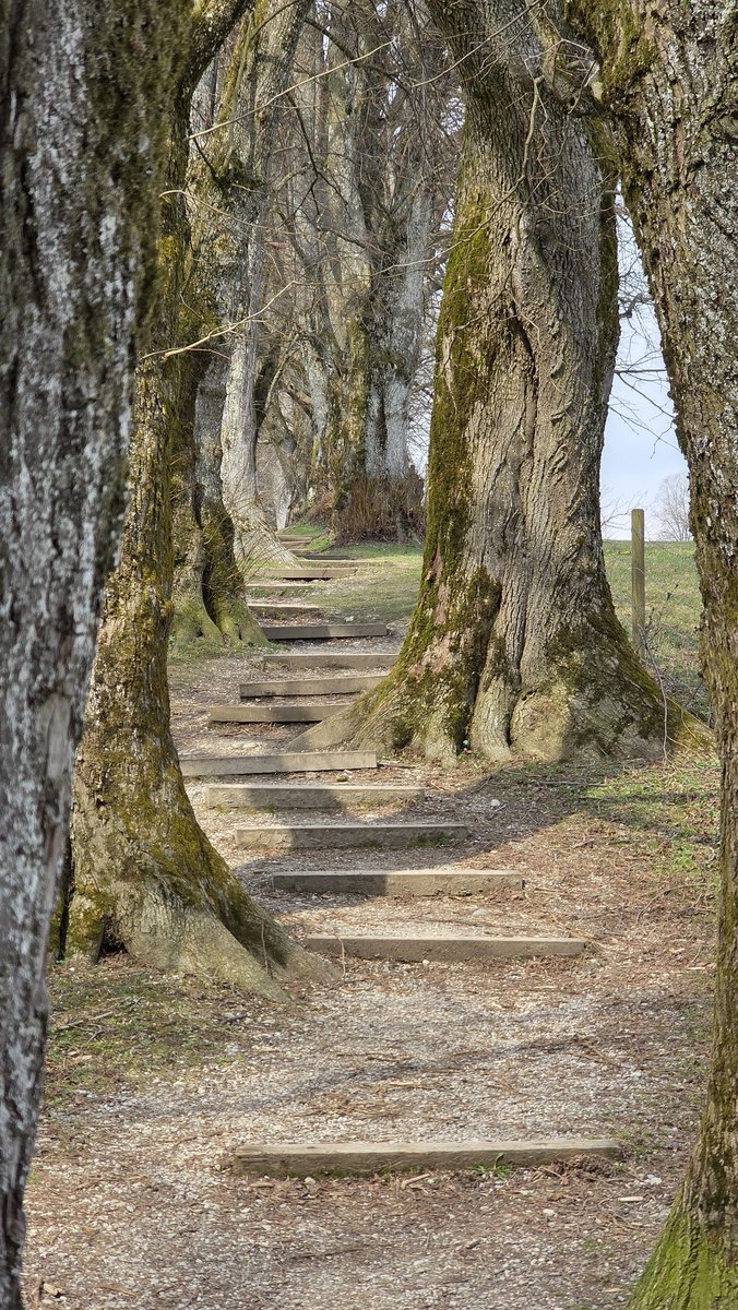 Iris Donell tweet media