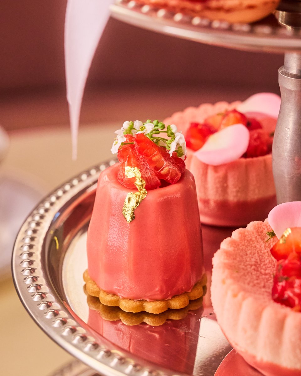 Puella_Yokohama tweet media