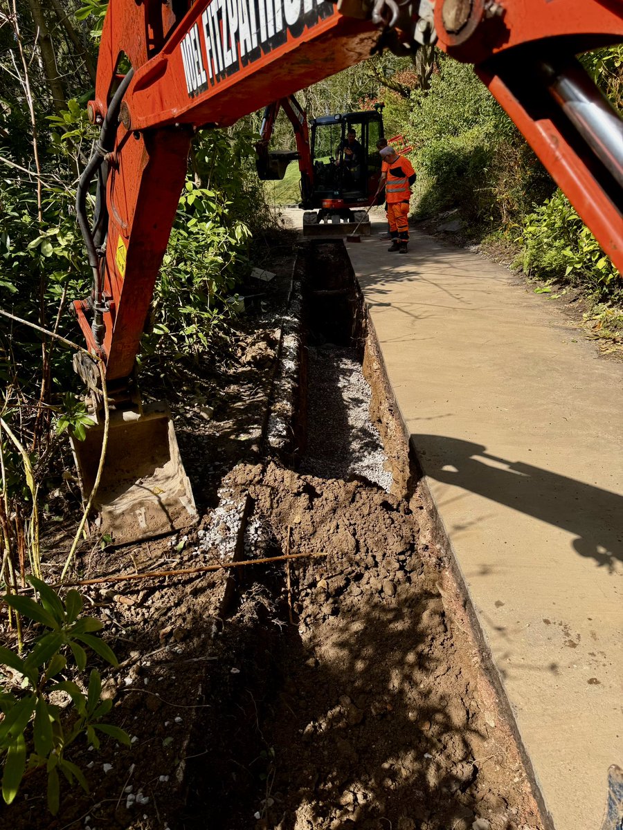 Noel Fitzpatrick Ltd tweet media