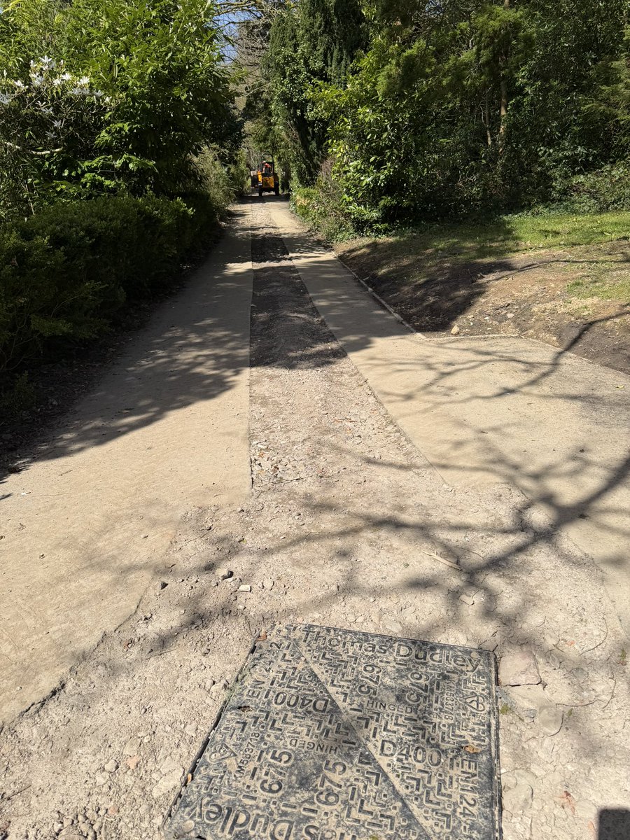 Noel Fitzpatrick Ltd tweet media