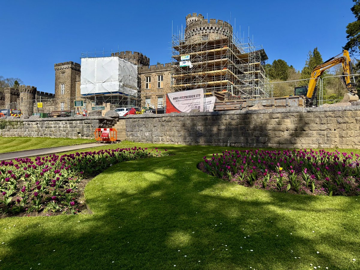 Noel Fitzpatrick Ltd tweet media