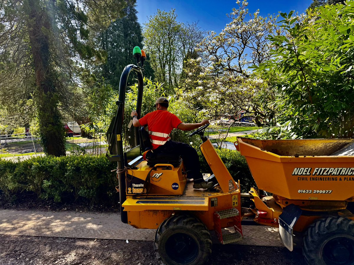 Noel Fitzpatrick Ltd tweet media