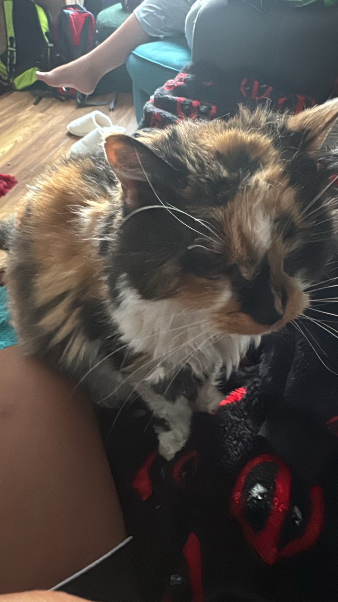 Cat Butler Danny tweet media