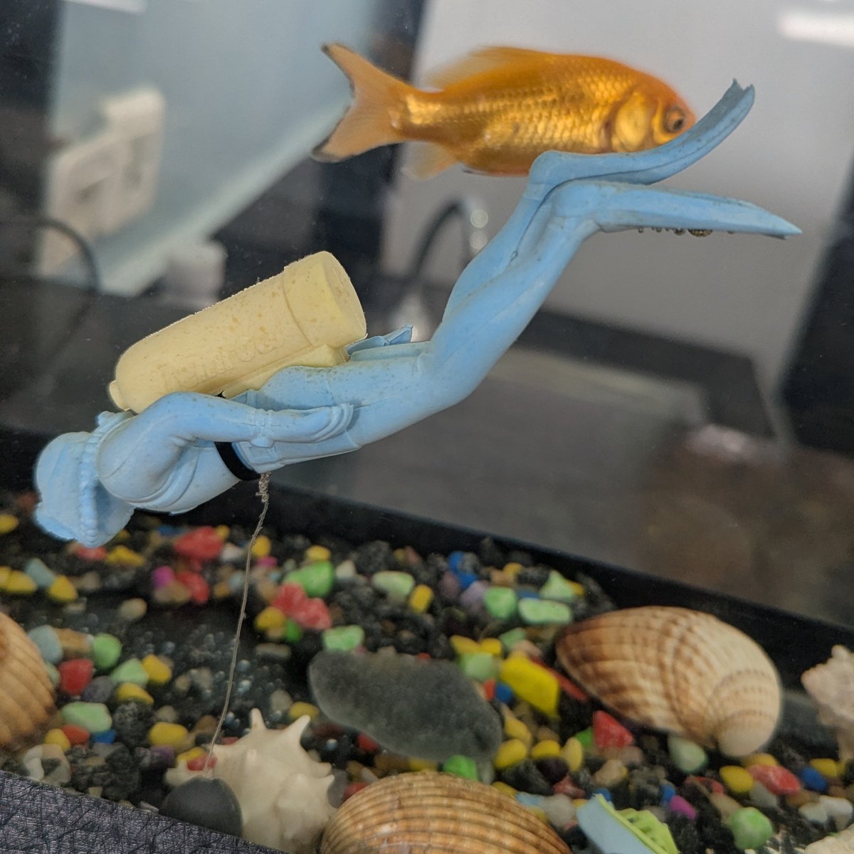 pavarotti tweet media