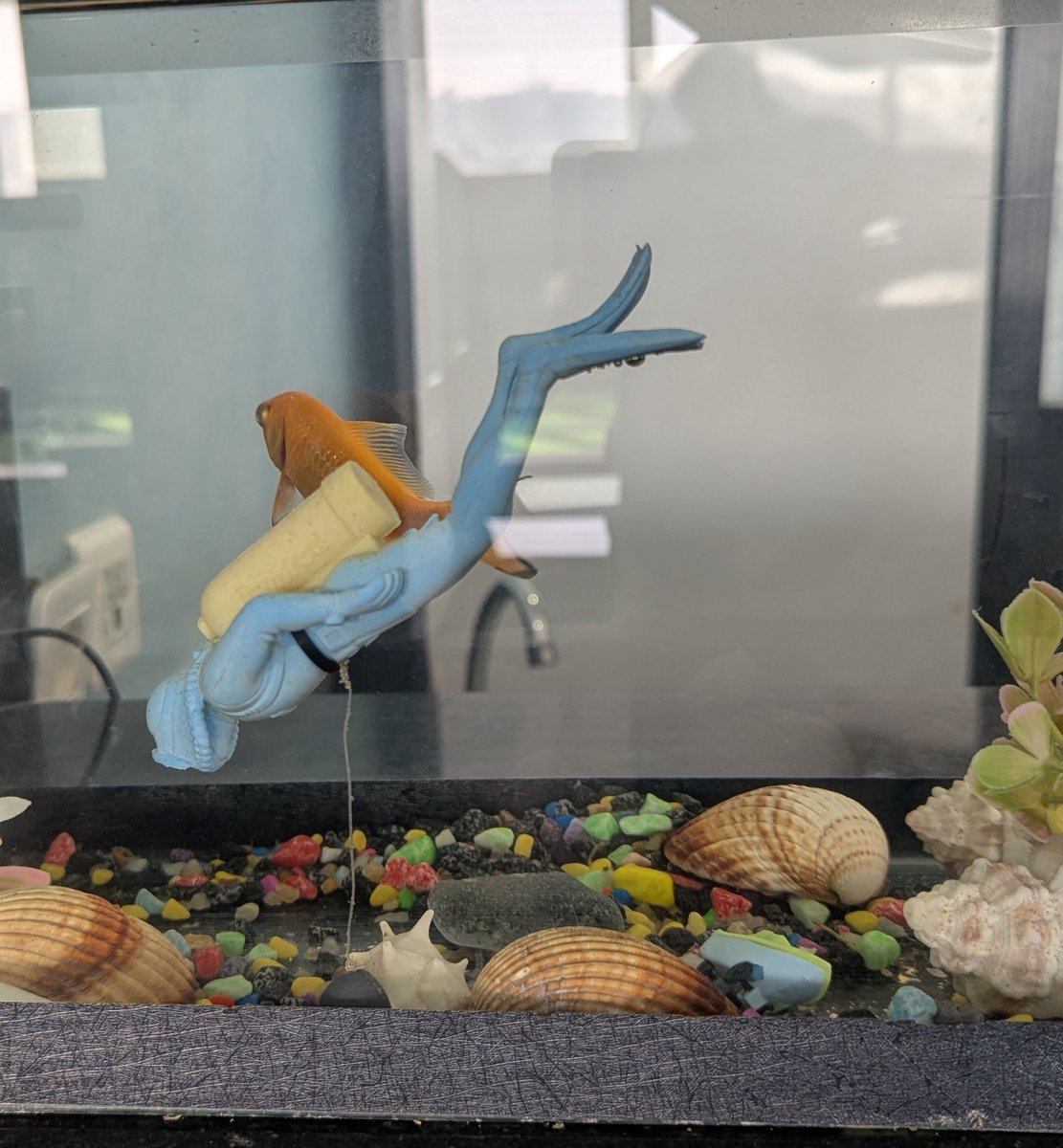 pavarotti tweet media