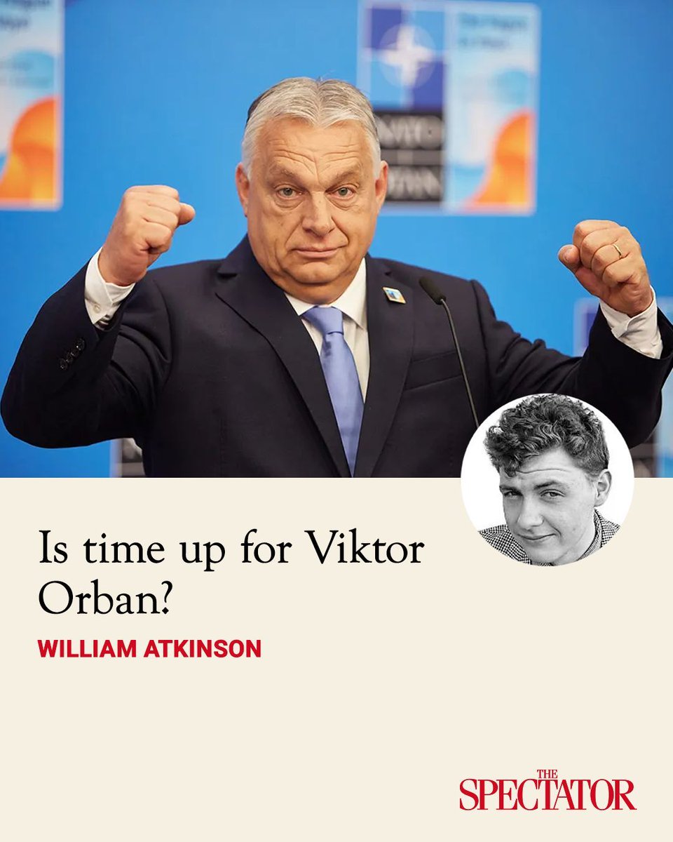 The Spectator tweet media