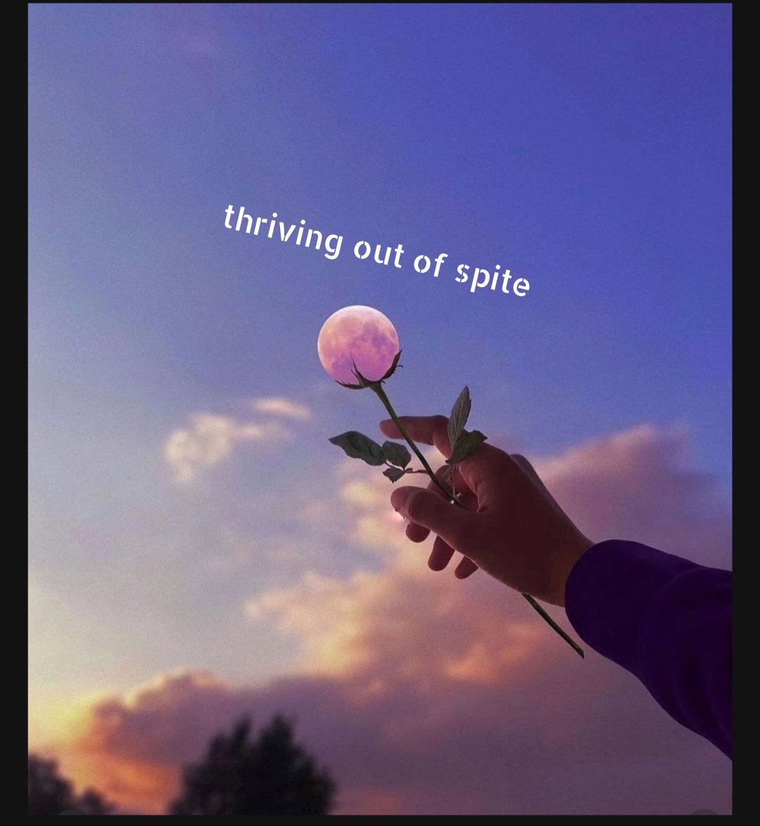 iamcumsock tweet media