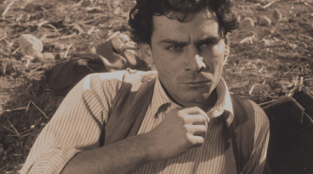 Iveser Venezia tweet media