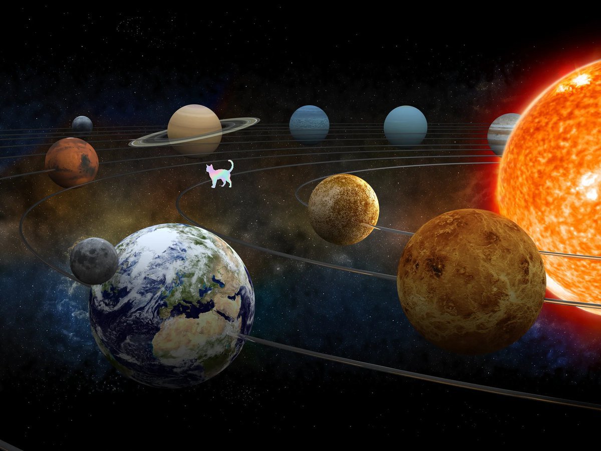 Quantum Cat ⛓️ op_cat tweet media