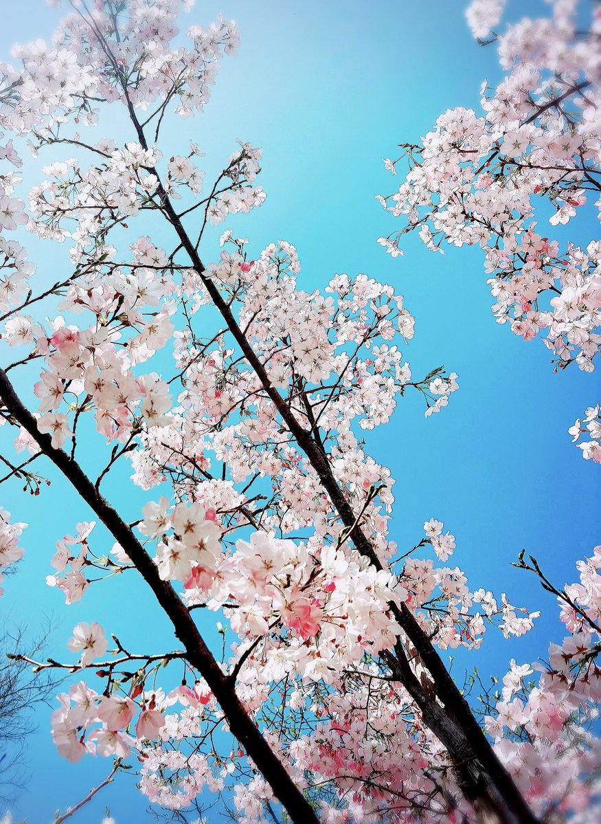 DartsBar eX/ダーツバーエックス tweet media