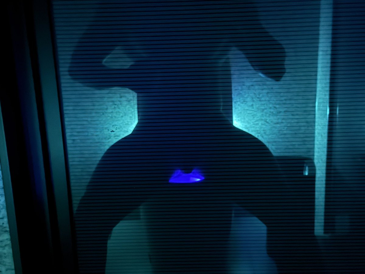 晨曦（上海版） tweet media