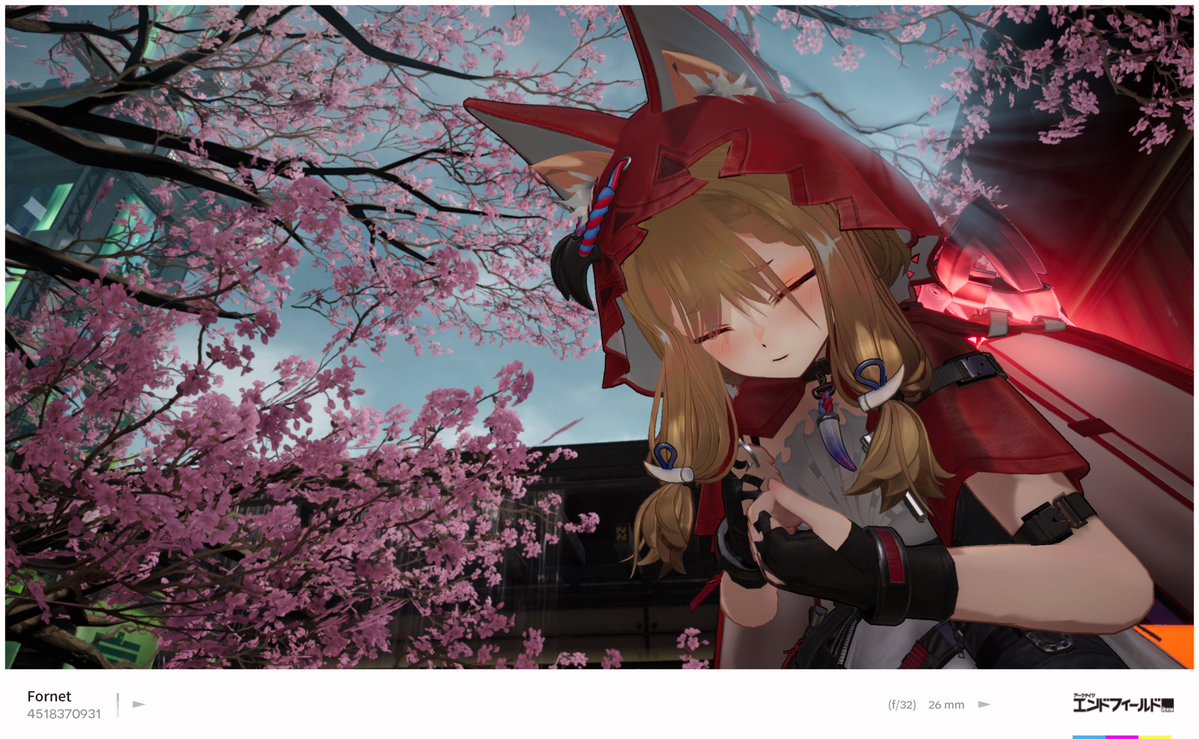 管理人とお花見デートするロッシちゃん
#エンドフィールド
 #アークナイツエンドフィールド
 #エンドフィールド写真部