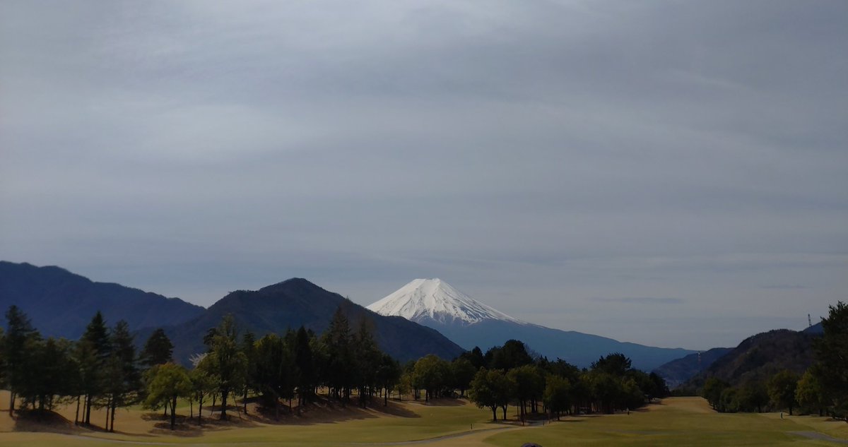 裕也🐳 tweet media