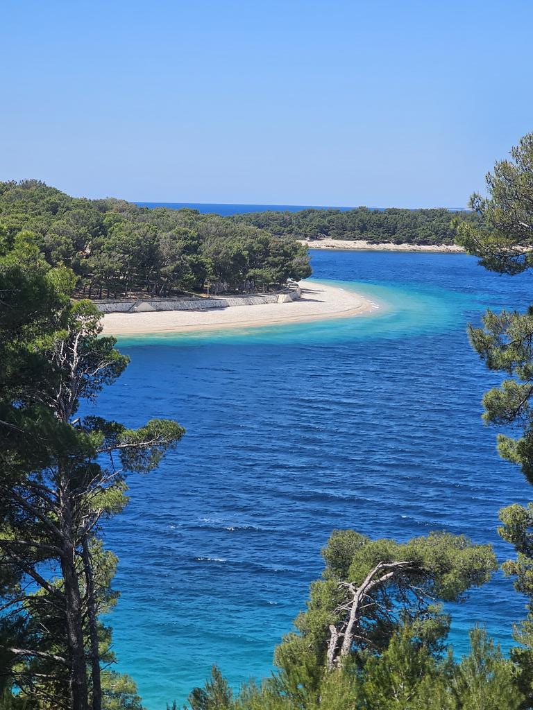 Marin Philohom tweet media