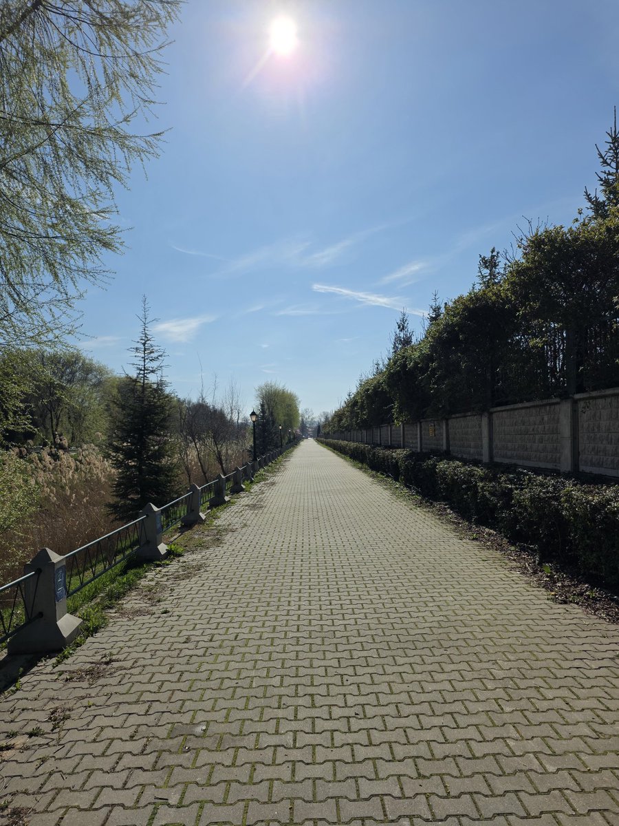 @anon_☕️🐈🏛 📖 tweet media