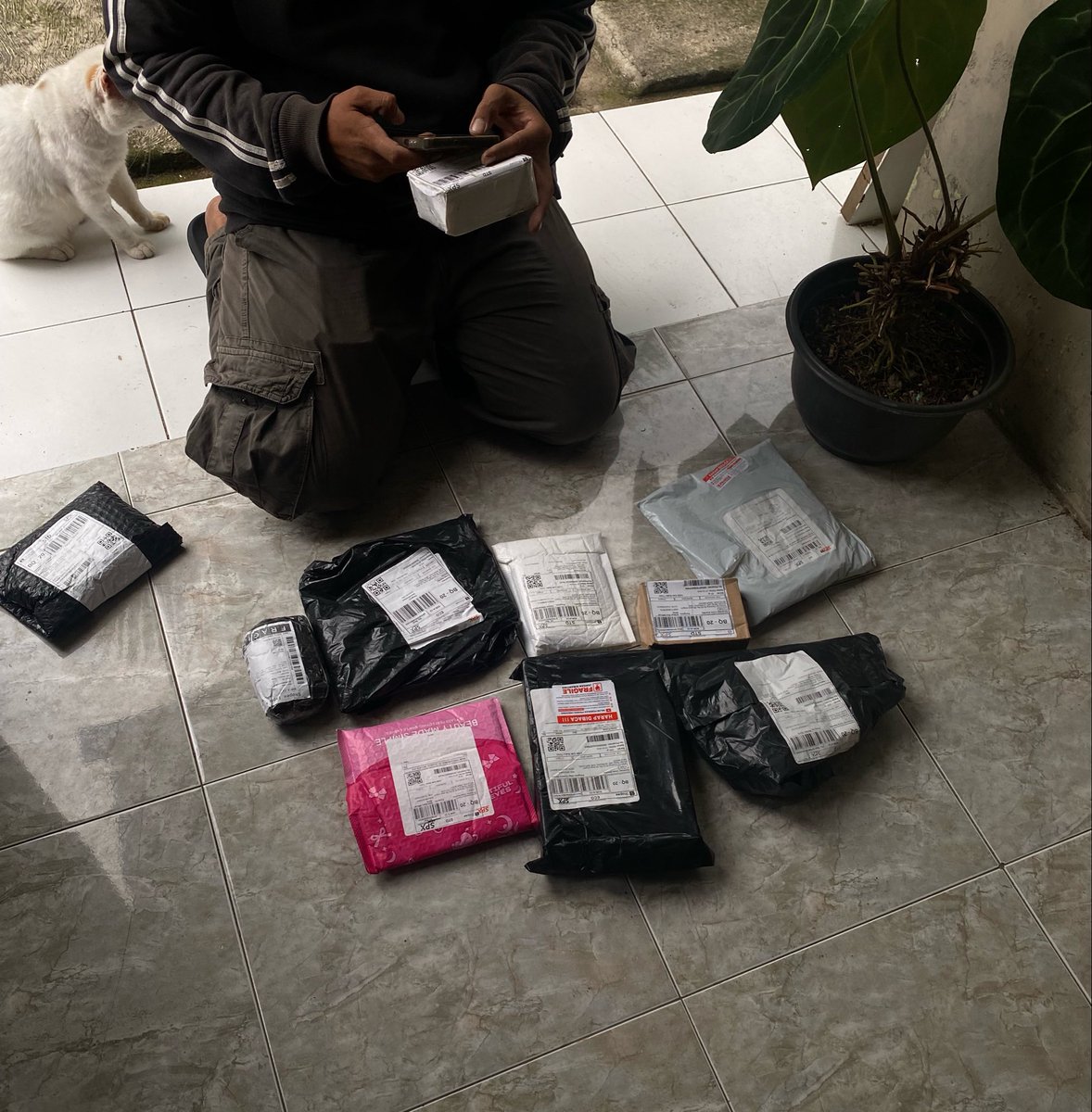 tata ᴖᴥᴖ📌FREEBIES PULSE ON TOUR tweet media