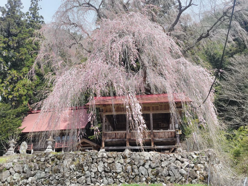 高山市広報【公式】 tweet media