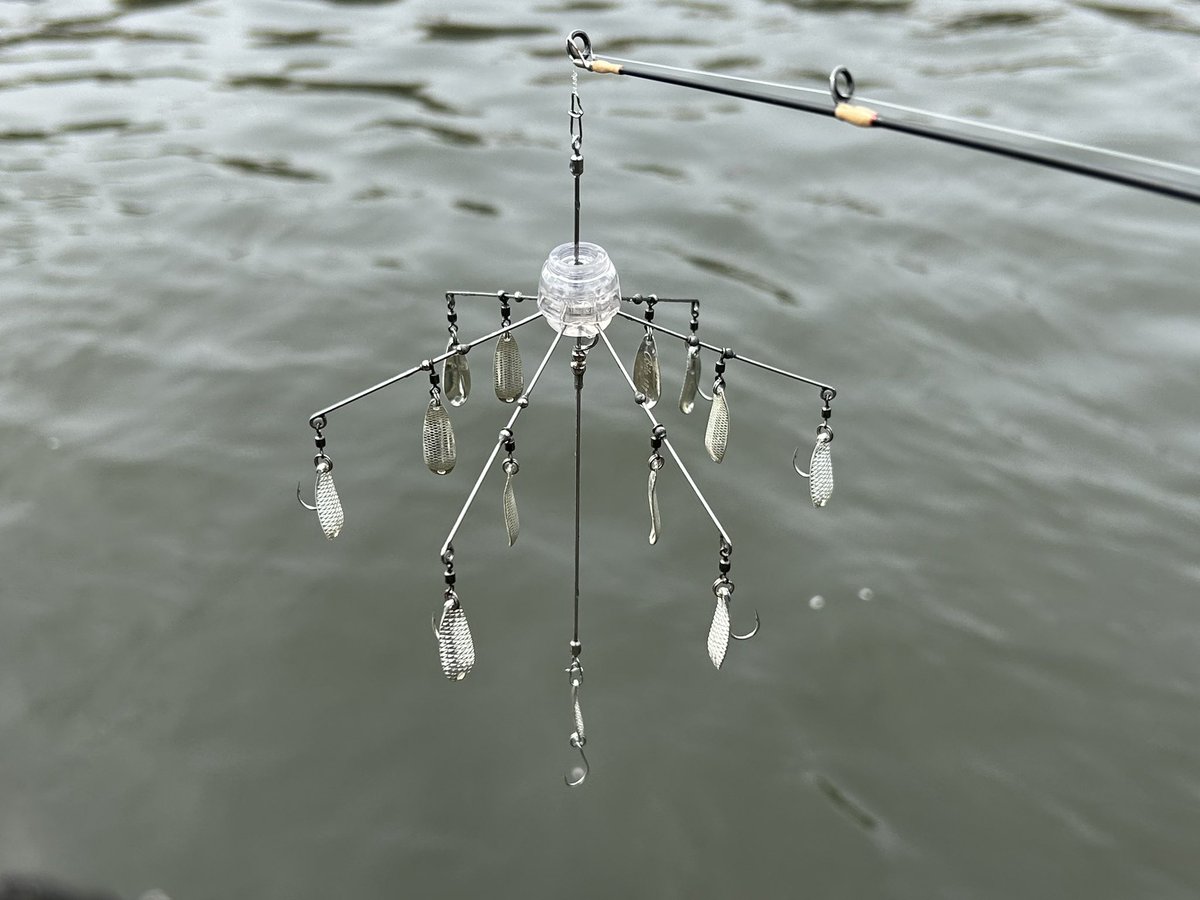 shigefish tweet media