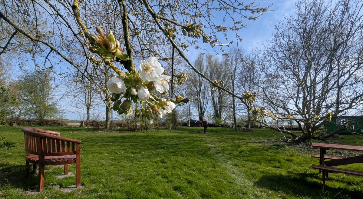 Anthon Keuchenius tweet media