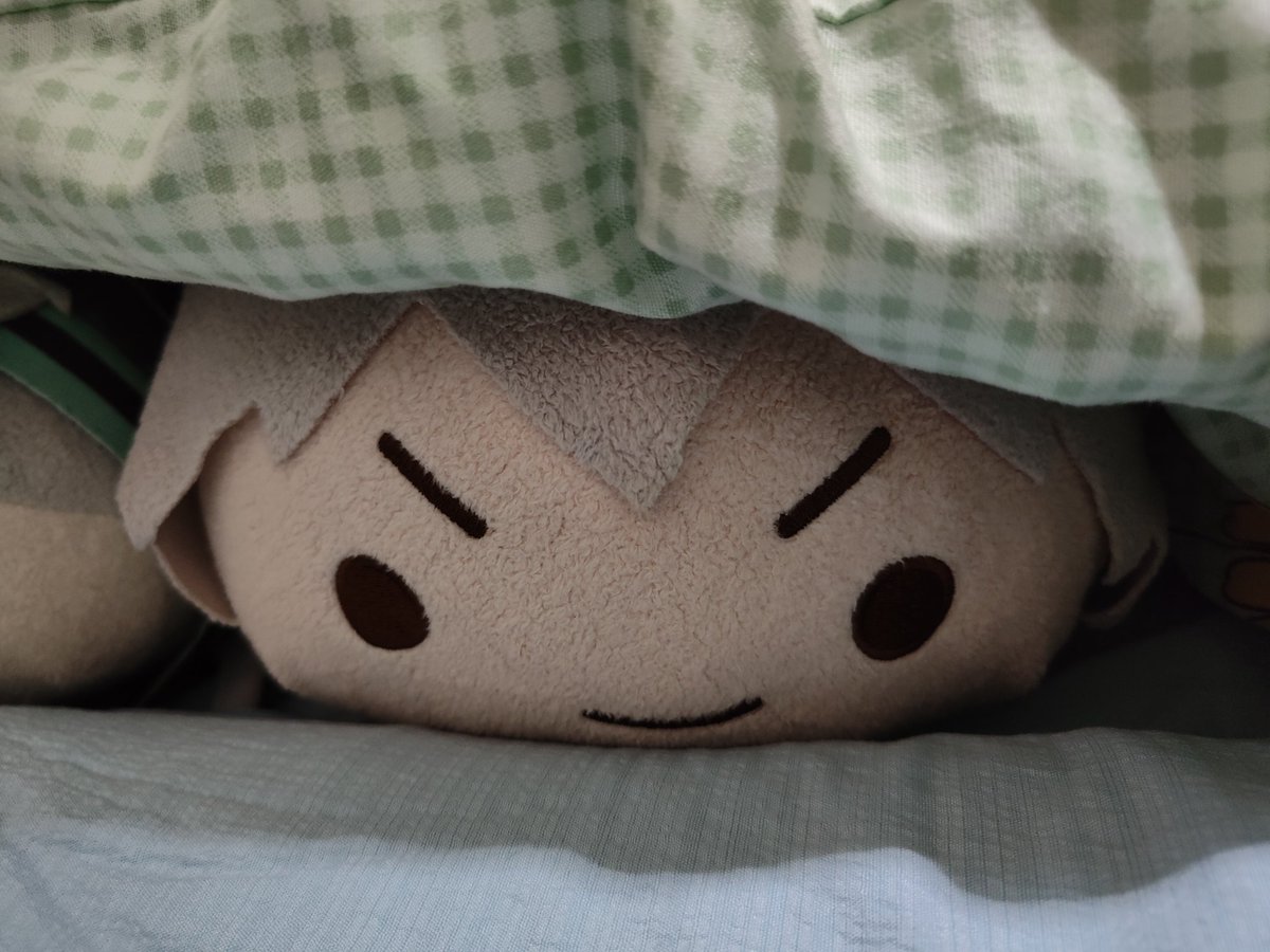 3Dbean burrows under his brother's blanket.
钻葛格被窝的三蛋😈