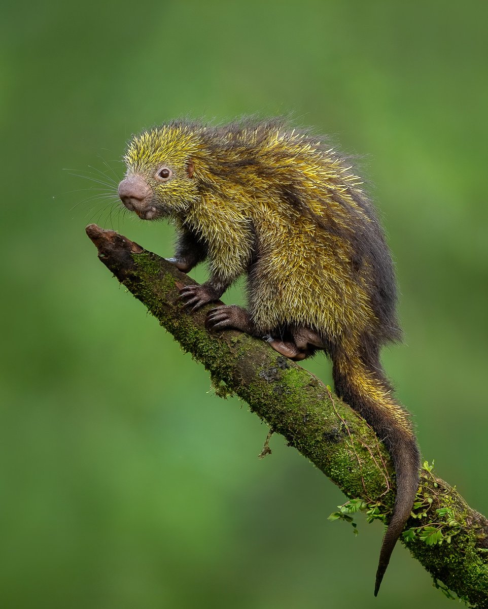 Big Bang Science tweet media