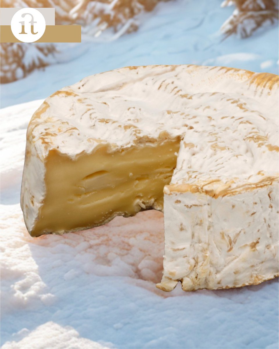 gourmit_'s tweet photo. Creamy, rich, and irresistibly smooth — our buffalo milk Camembert by Gildo Formaggi is a true expression of craftsmanship and flavor. 

Discover a new level of indulgence and let your taste buds experience something unforgettable. #TasteTheDifference #BuffaloMilk #CheeseLovers https://t.co/HZJepYM26W