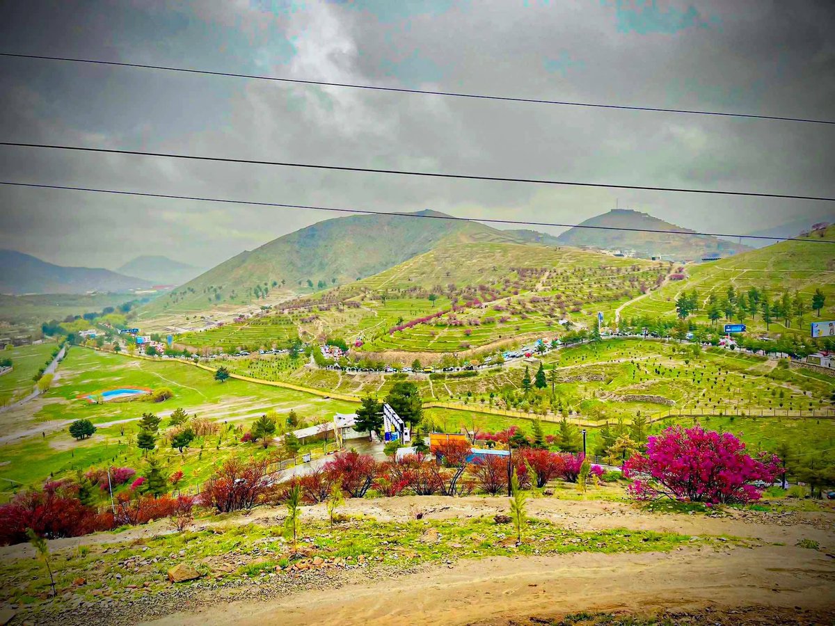 𝙍 𝘼𝙝𝙢𝙙𝙯𝙖𝙞 tweet media