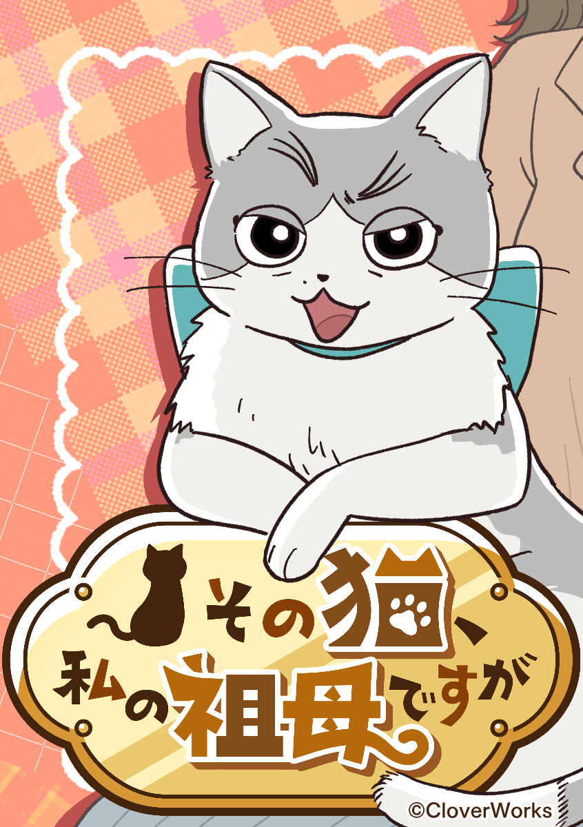 CLWWebtoon's tweet photo. 【作品紹介】
「その猫、私の祖母ですが」

31話では七海たちが上野でお花見しています🐾🌸
https://t.co/L2o1s98kHH

#CloverWorks
#CloverWorksWebtoon
#ねこそぼ
#LINEマンガ https://t.co/jEViJqueq3