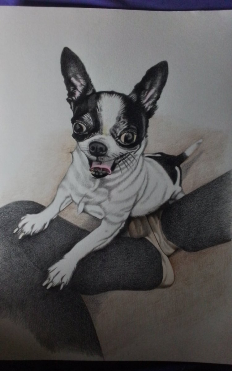 เด็กชาวสวน tweet media