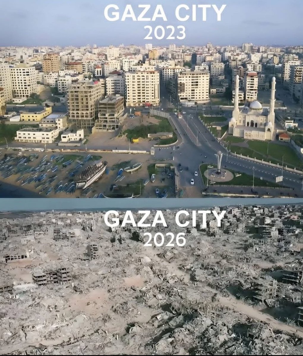 Targui🌴 tweet media