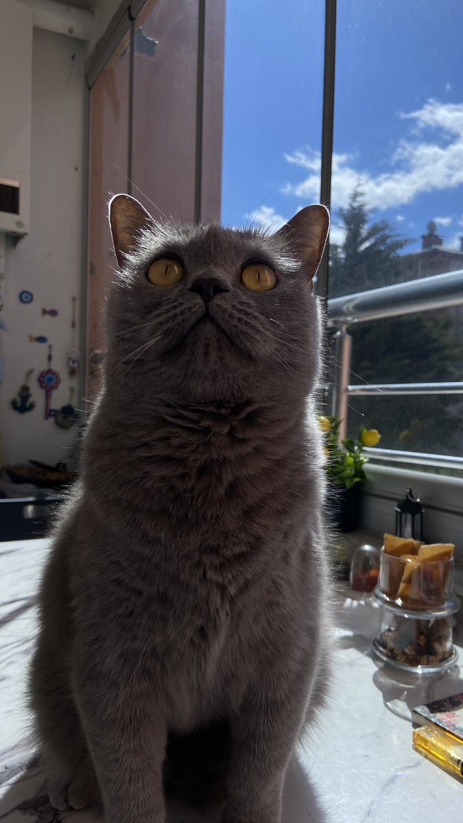 Mars yani akullu ve yakışnıknı tweet media