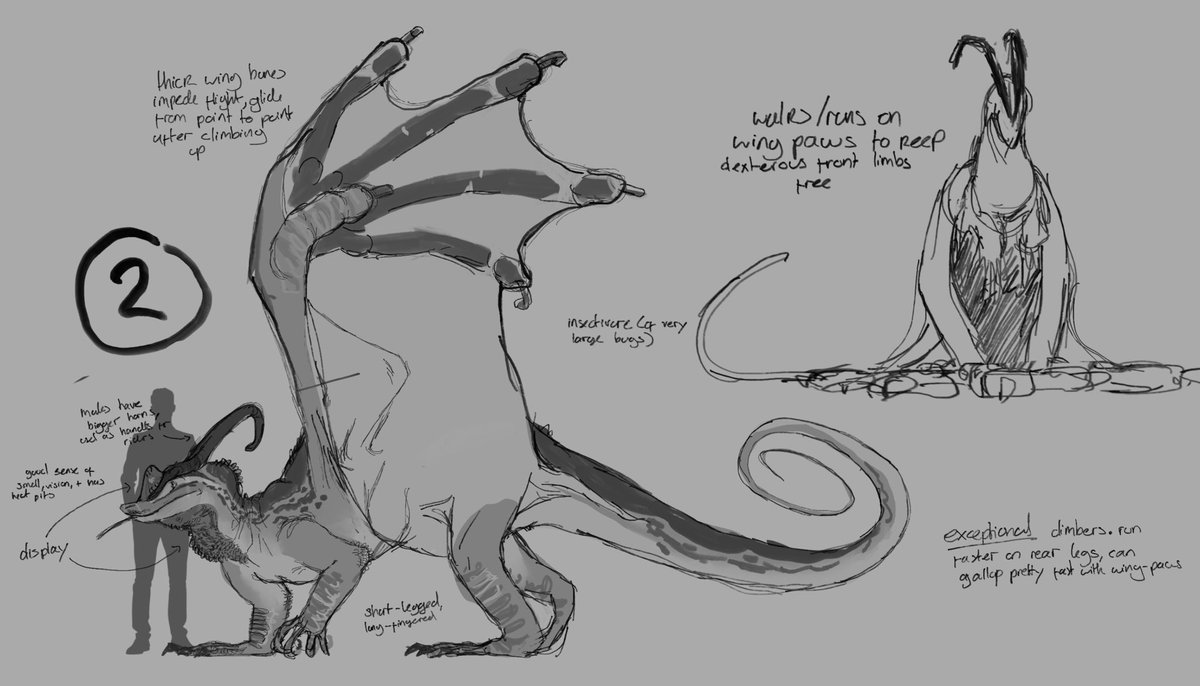 🎸🐺 tweet media