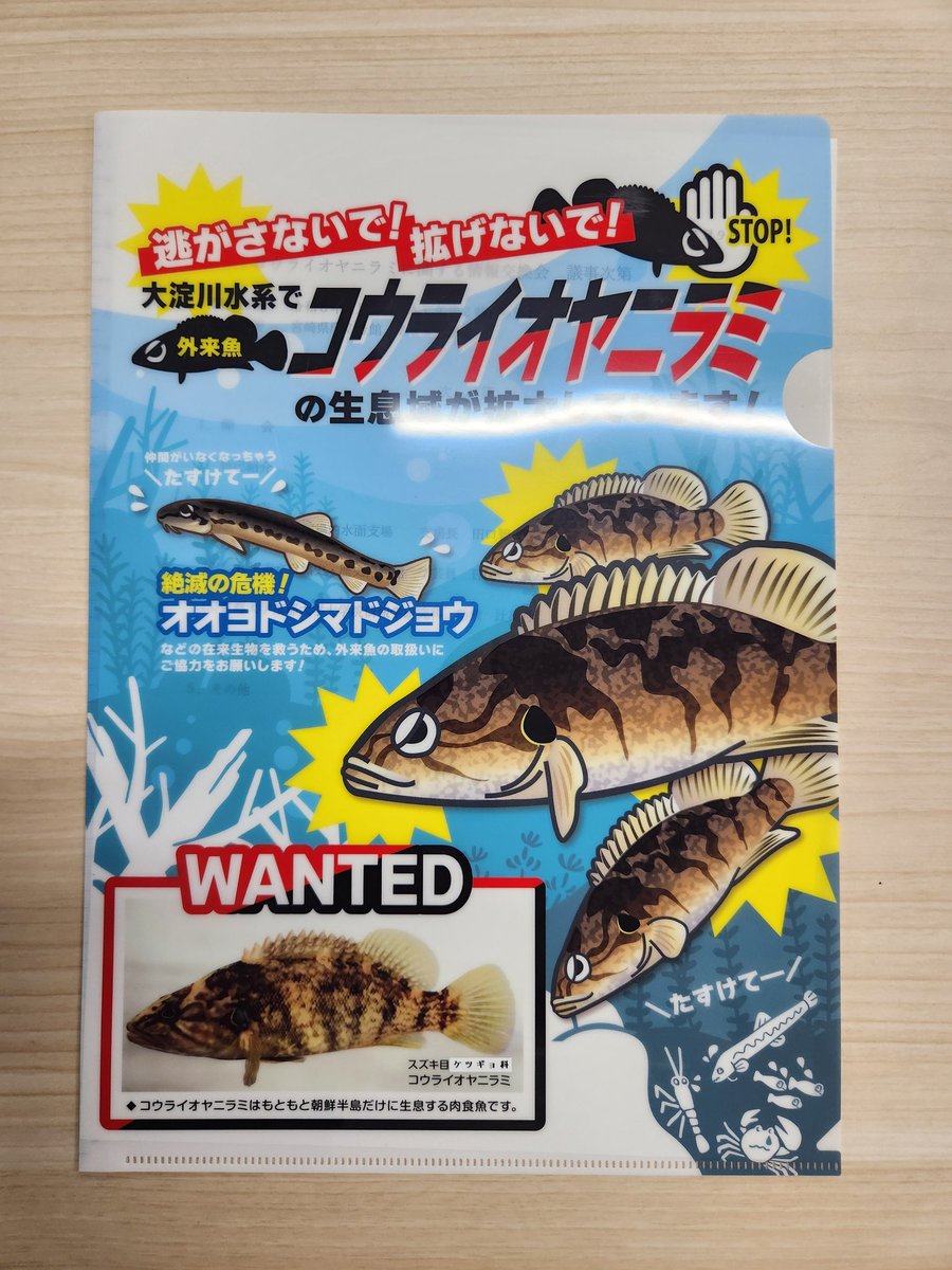 フナと納豆のひと🔥 tweet media