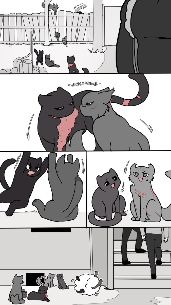 AniMa ALT tweet media