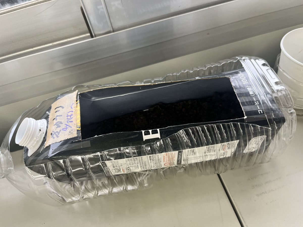 uruwashi (空間 Sound Producer) tweet media