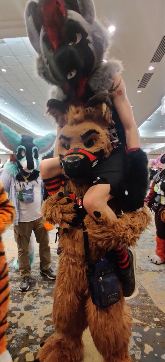 RexSchaeffer01's tweet photo. TFF2026 was lots of fun, was not hard to pick up a twink or 2! @Nix_Hyena 
📸 @Voltaire_fang https://t.co/kmLQDZ0cBC