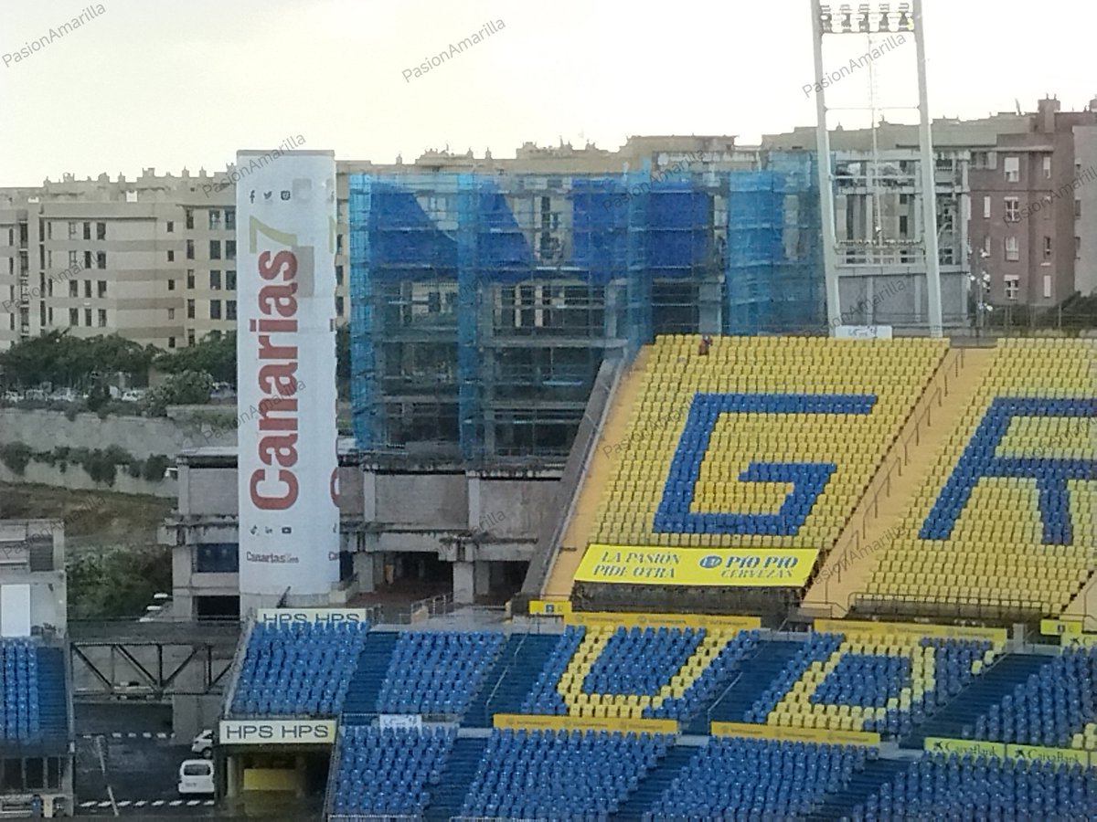 Pasión Amarilla tweet media