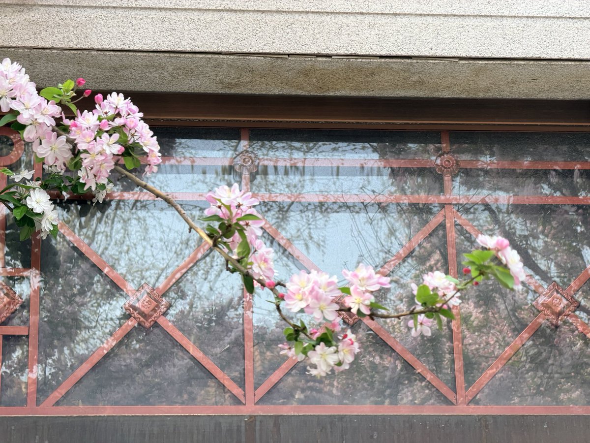 赵照镜子 tweet media