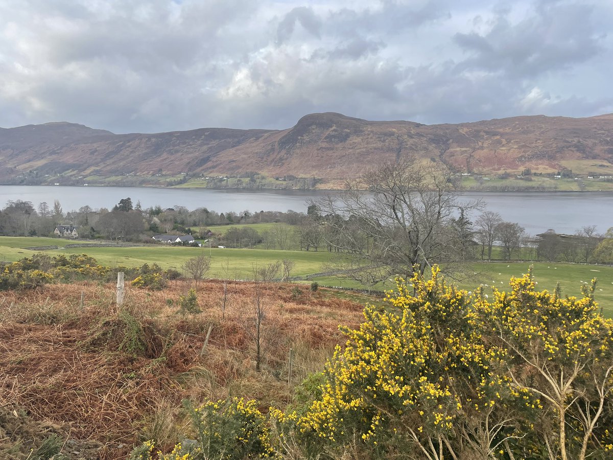 Maree Todd tweet media