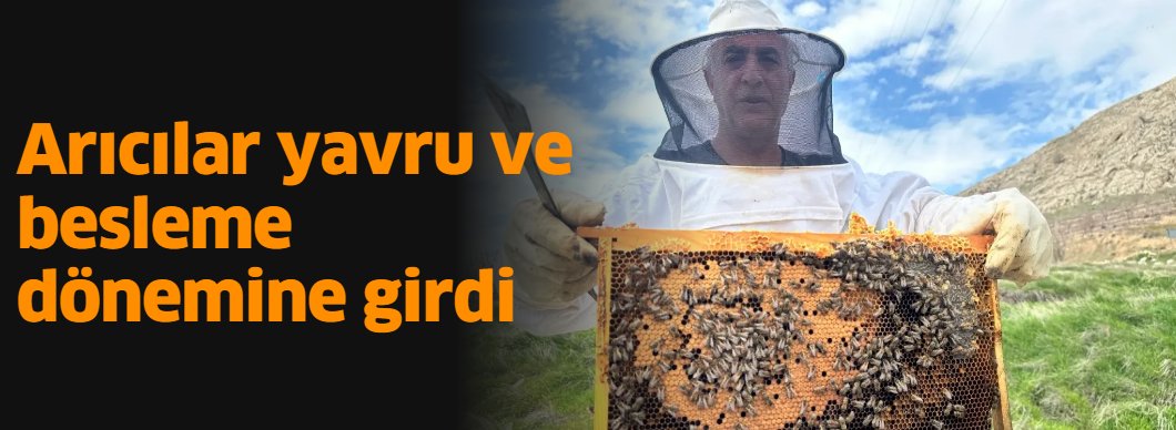 Arıcılar yavru ve besleme dönemine girdi elazighaberkent.com/haber/27778597… 
#elazığ #elazığhaber