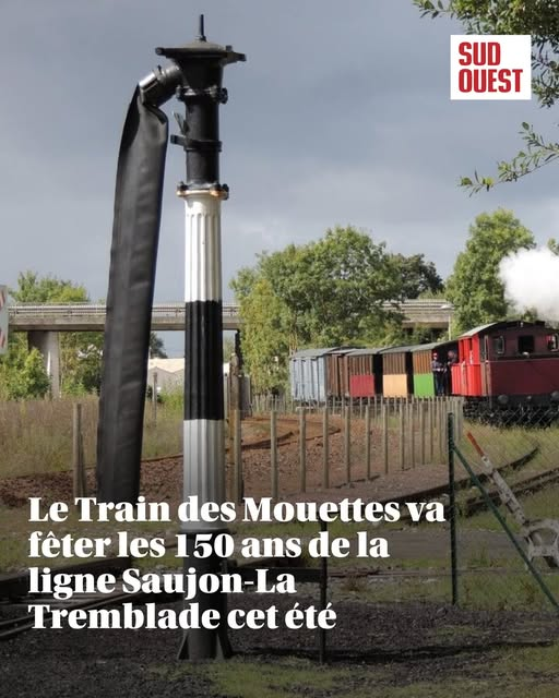 F4DBS Philippe tweet media