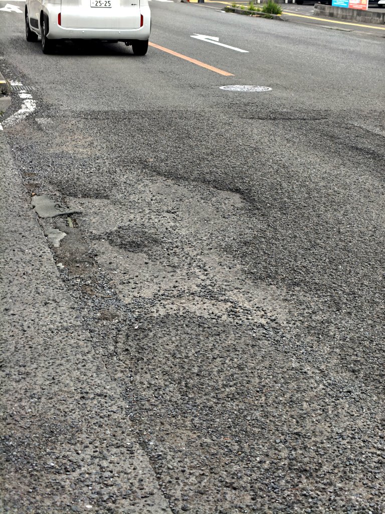 元Cat cafe 鮪 tweet media