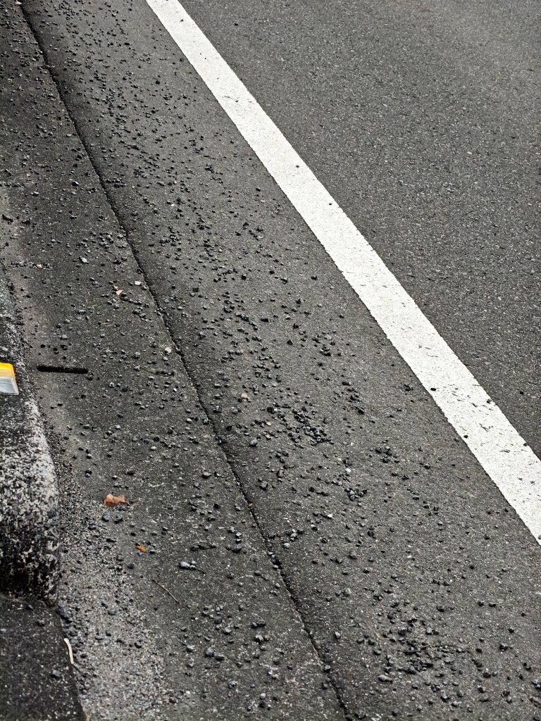 元Cat cafe 鮪 tweet media