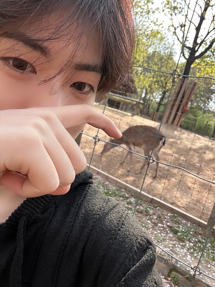 ADAP_offcl's tweet image. 🌸=🫵🏻 

#ADAP #에이댑
#준석 #JUNSEOK
#ALL_DREAMS_ARE_POSSIBLE