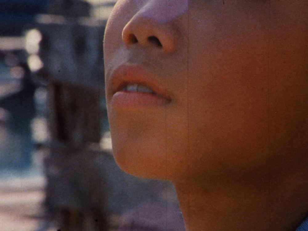 Experimental Cinema tweet media