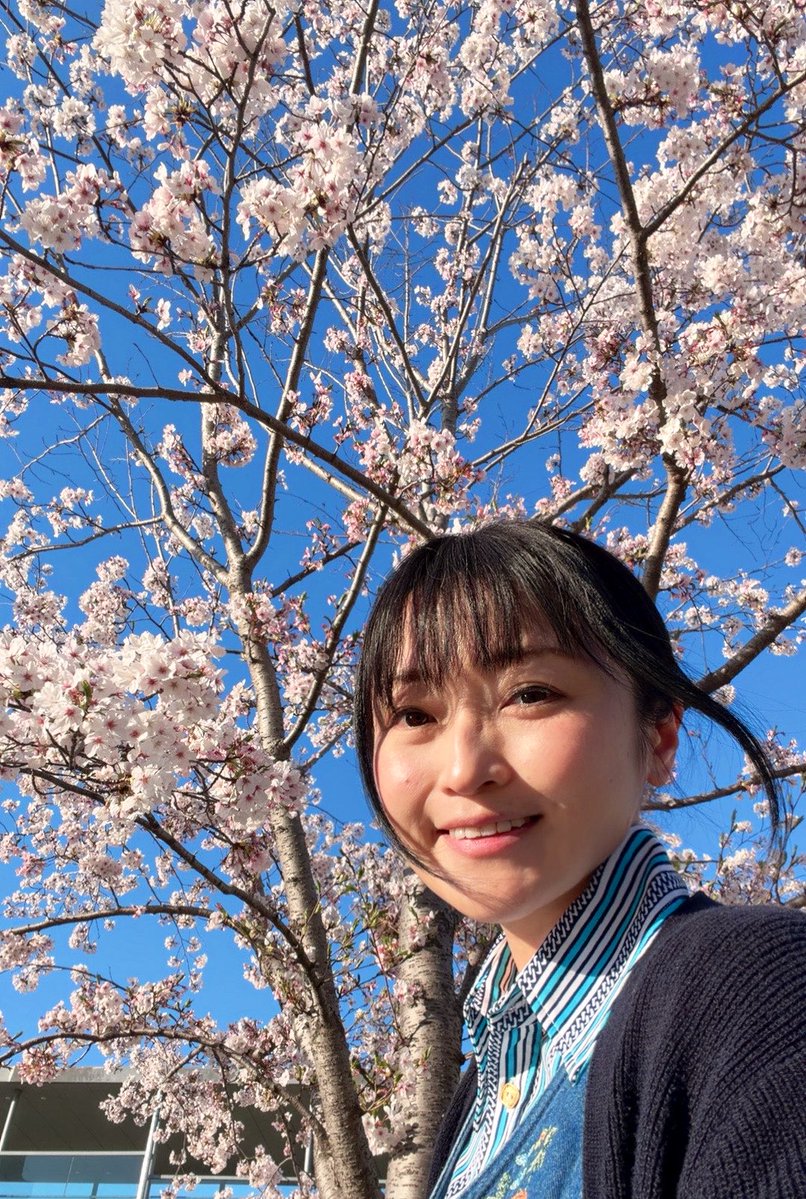 山田リイコ tweet media